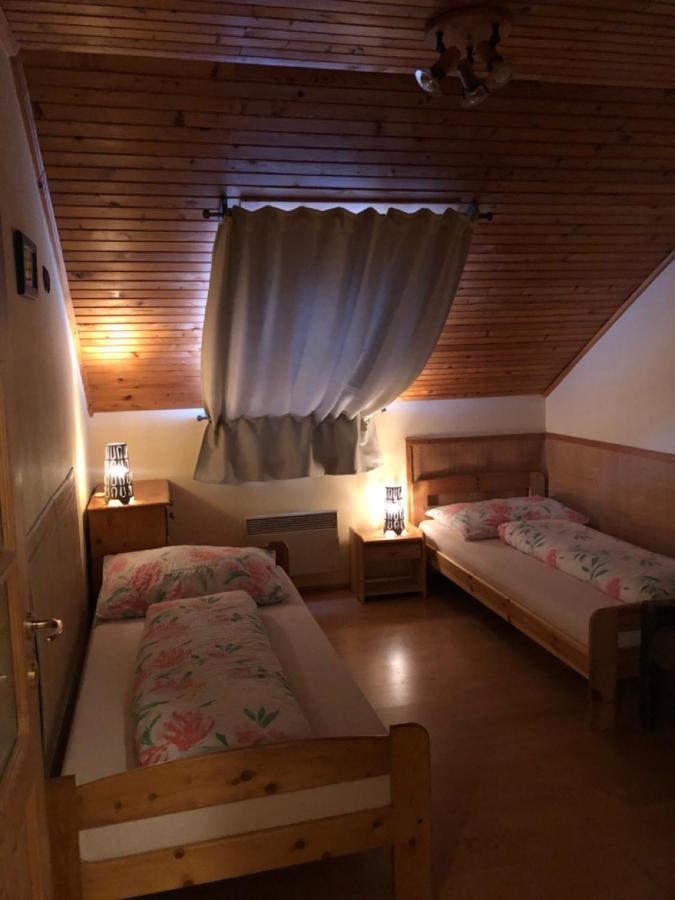 Ubytovani Duskovi Villa Lipno nad Vltavou Buitenkant foto
