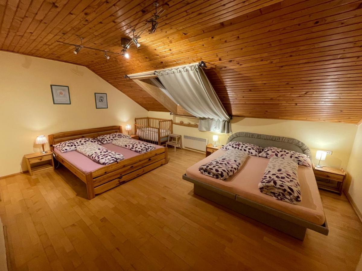 Ubytovani Duskovi Villa Lipno nad Vltavou Buitenkant foto
