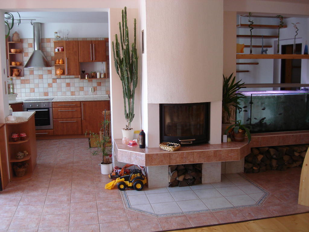 Ubytovani Duskovi Villa Lipno nad Vltavou Kamer foto