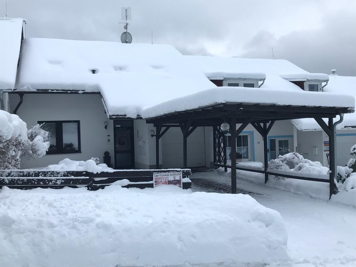 Ubytovani Duskovi Villa Lipno nad Vltavou Buitenkant foto